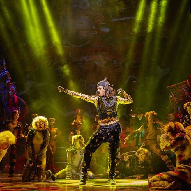 cats broadway